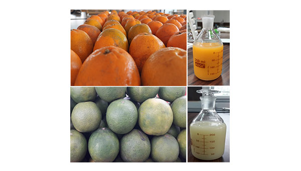 Food and Beverage Processing